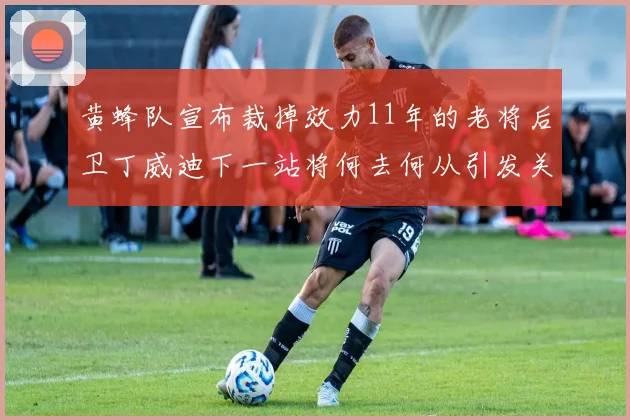 黄蜂队宣布裁掉效力11年的老将后卫丁威迪下一站将何去何从引发关注
