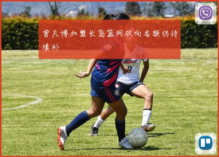 曾凡博加盟长岛篮网双向名额仍待填补