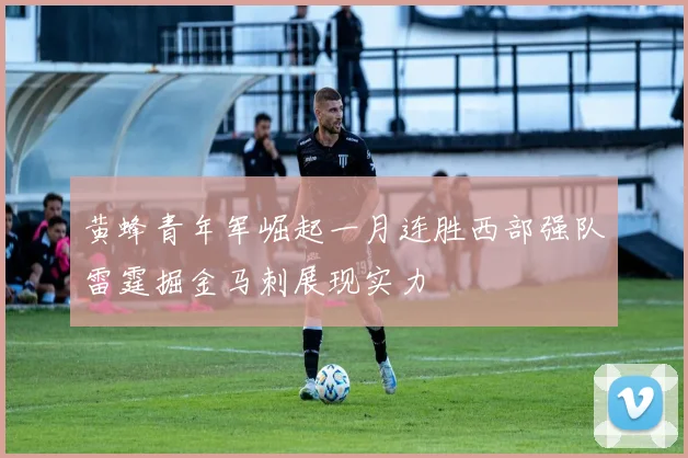 黄蜂青年军崛起一月连胜西部强队雷霆掘金马刺展现实力