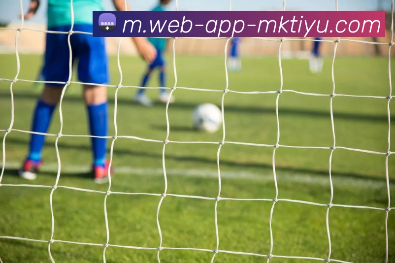 MK体育平台生态图